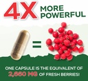 purely-holistic-hawthorn-berry---150-veg-5.jpg