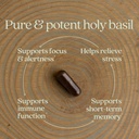 new-chapter-stress-relief-supplement---h-3.jpg