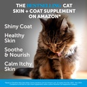 cat-skin-coat-health-crunchy-creamy-chew-2.jpg
