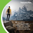 natures-plus-ageloss-eye-support---60-ca-3.jpg