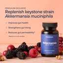 pendulum-akkermansia-polyphenol-booster--3.jpg
