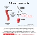 dr-gs-amazing-ionized-cal-mag---bone-hea-4.jpg