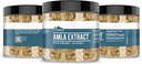 earthborn-elements-amla-extract-200-caps-4.jpg