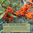 organic-sea-buckthorn-oil-omega-7-comple-5.jpg