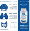 one-planet-nutrition-nano-boswellia-250--3.jpg