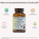 ursolic-acid-extract-600mg-150-mg-of-pur-3.jpg