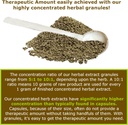 natural-brain-supplement-herb-extract-5.jpg