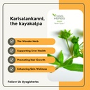 yogis-herbs-karisalankanni-powder-eclipt-3.jpg