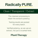 plant-therapy-holy-basil-capsules-manufa-5.jpg