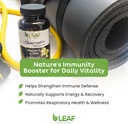 bleaf-nature-quercetin-phytosome-120-cap-4.jpg