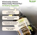 bleaf-nature-quercetin-phytosome-120-cap-5.jpg