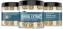 earthborn-elements-guggul-extract-200-ca-4.jpg