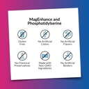 intelligent-labs-2-in-1-bundle-of-magenh-6.jpg