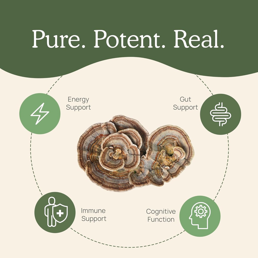real-mushrooms-turkey-tail-mushroom-powd-4.jpg