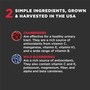 super-snouts-urinary-berry-urinary-tract-4.jpg