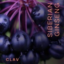 clav-siberian-ginseng---900mg-eleuthero--2.jpg