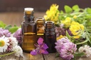 cedar-bear-respir-moisten-a-liquid-herba-5.jpg