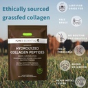 pharmepa-restore-advanced-hydrolyzed-col-3.jpg