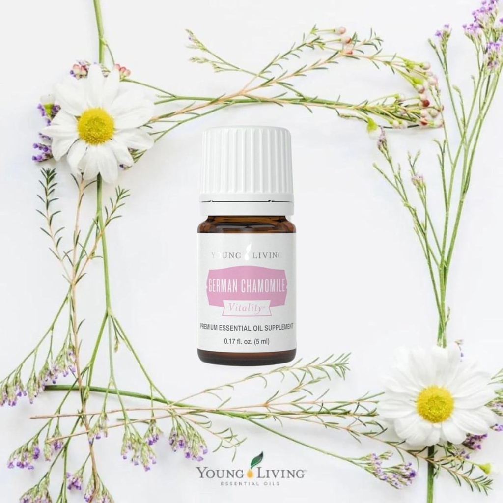 young-living---german-chamomile-vitality-3.jpg