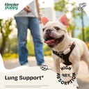 lung-support-drops-for-dogs---respirator-2.jpg