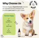 lung-support-drops-for-dogs---respirator-6.jpg
