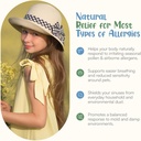 natural-antihistamine-supplement-kids-al-6.jpg