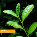 herb-pharm-certified-organic-green-tea-l-2.jpg