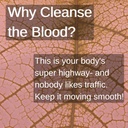 speedyvite-blood-lifeboost-tea-cleanses--4.jpg