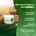 greens-superfood-powder---46-superfoods--3.jpg