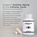 premium-quality-fisetin-500mg-60-capsule-3.jpg