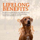 optipup-all-in-1-puppy-multivitamin-cont-6.jpg