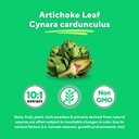 organic-artichoke-leaf-extract-for-healt-4.jpg