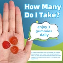 afxmate-fiber-supplement-gummies-for-adu-5.jpg