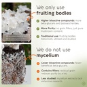 longevity-botanicals-tremella-mushroom-e-4.jpg