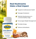 simple-promise---cholibrium---mushroom-s-4.jpg