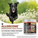dog-allergy-relief-chews-itchy-skin-reli-4.jpg