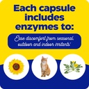 enzymedica-allerase-non-drowsy-enzyme-su-5.jpg