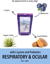 spry-daily-respiratory-and-ocular-suppor-2.jpg