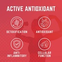 purus-labs-organ-shield-active-antioxida-4.jpg