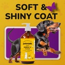 omega-3-fish-oil-for-dogs-skin-and-coat--5.jpg