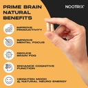 prime-brain-nootropic-supplement-support-4.jpg