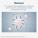 designs-for-health-iggi-shield---gut-hea-4.jpg