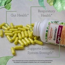 quantum-health-quercetin-500mg-powerful--5.jpg