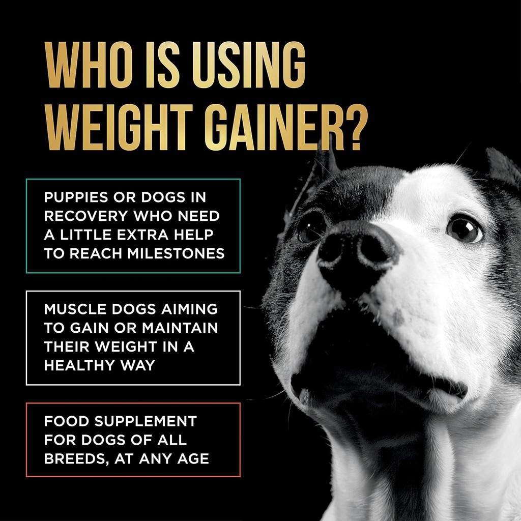 dog-weight-gainer-approx-90-servings---w-3.jpg