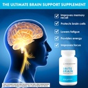 physician-designed-brite-brain-supplemen-4.jpg