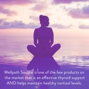 soothe-hormone-balance-for-women-thyroid-3.jpg
