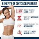 dr-westin-childs-berberine-500-dihydrobe-2.jpg