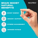 brain-boost-nootropic-supplement-support-3.jpg