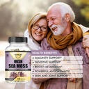 irish-seamoss-capsules-2625mg-per-servin-5.jpg
