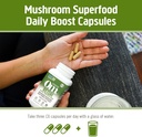 om-mushroom-superfood-reishi-mushroom-ca-5.jpg